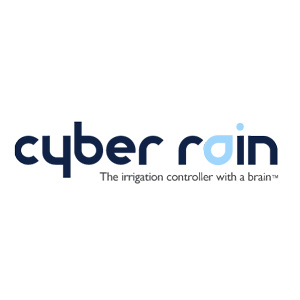 Cyber Rain